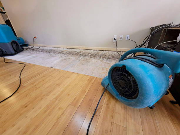 Professional Water Damage Repair technician working in Raleigh, WV